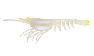 Switcher Shrimp 4.25